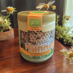 Organic Spring Honey 500g