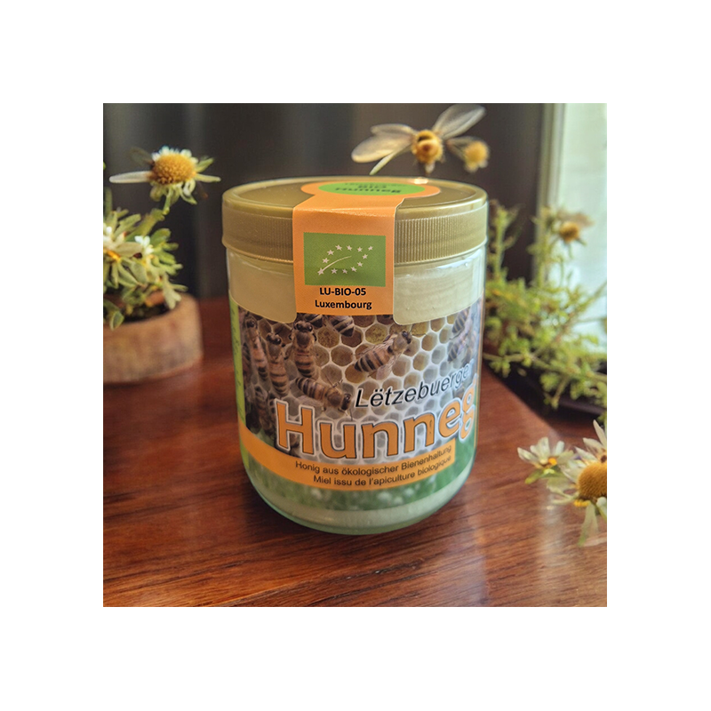 Bio Frühtracht 500g