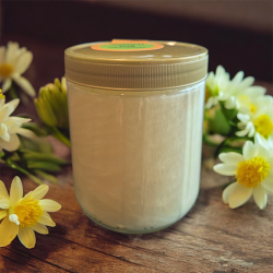 Miel de printemps Bio 500g